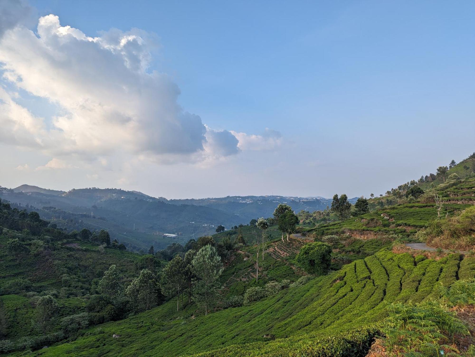 Ghar Homestay, كوتاغيري المظهر الخارجي الصورة
