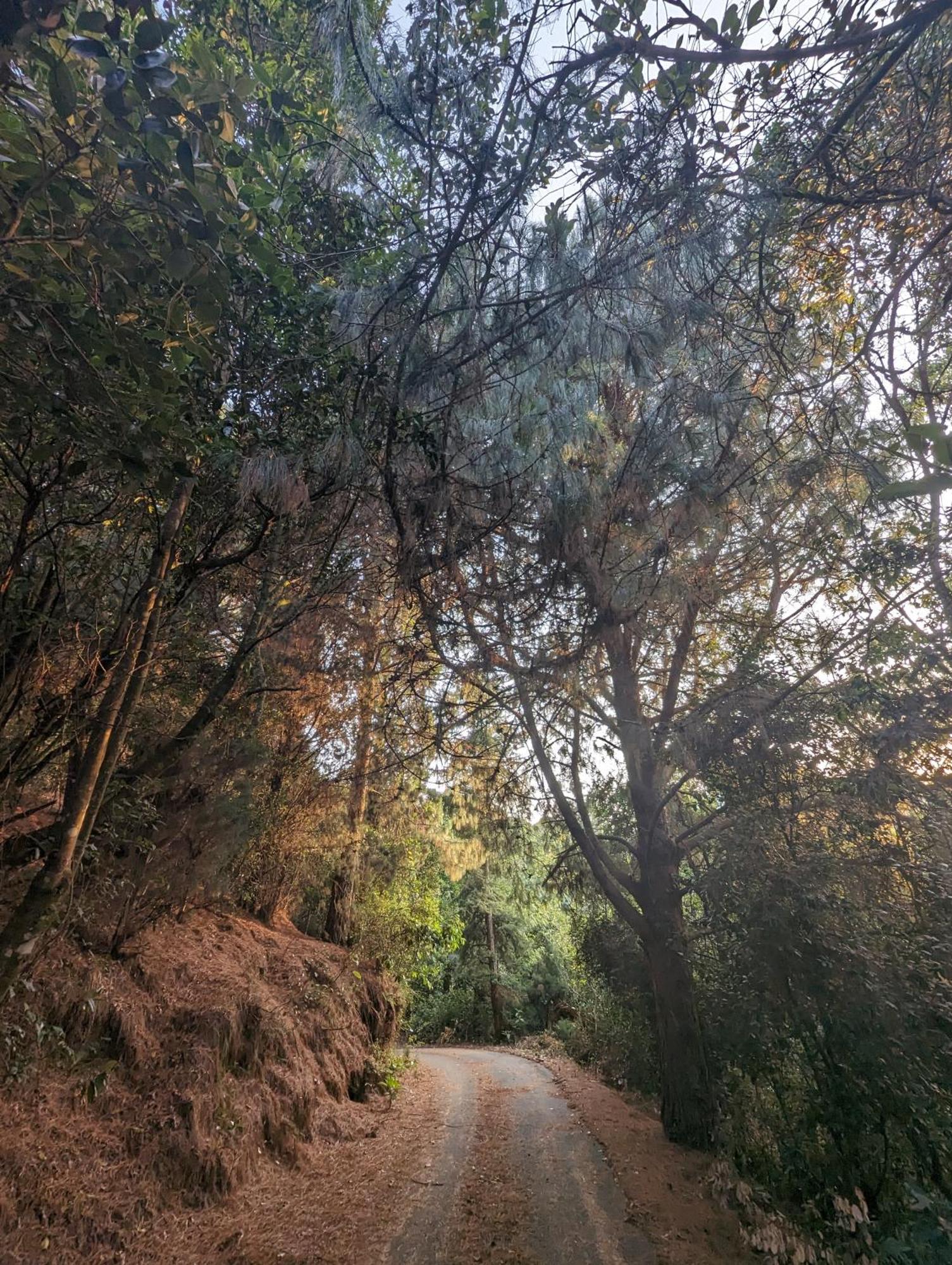 Ghar Homestay, كوتاغيري المظهر الخارجي الصورة