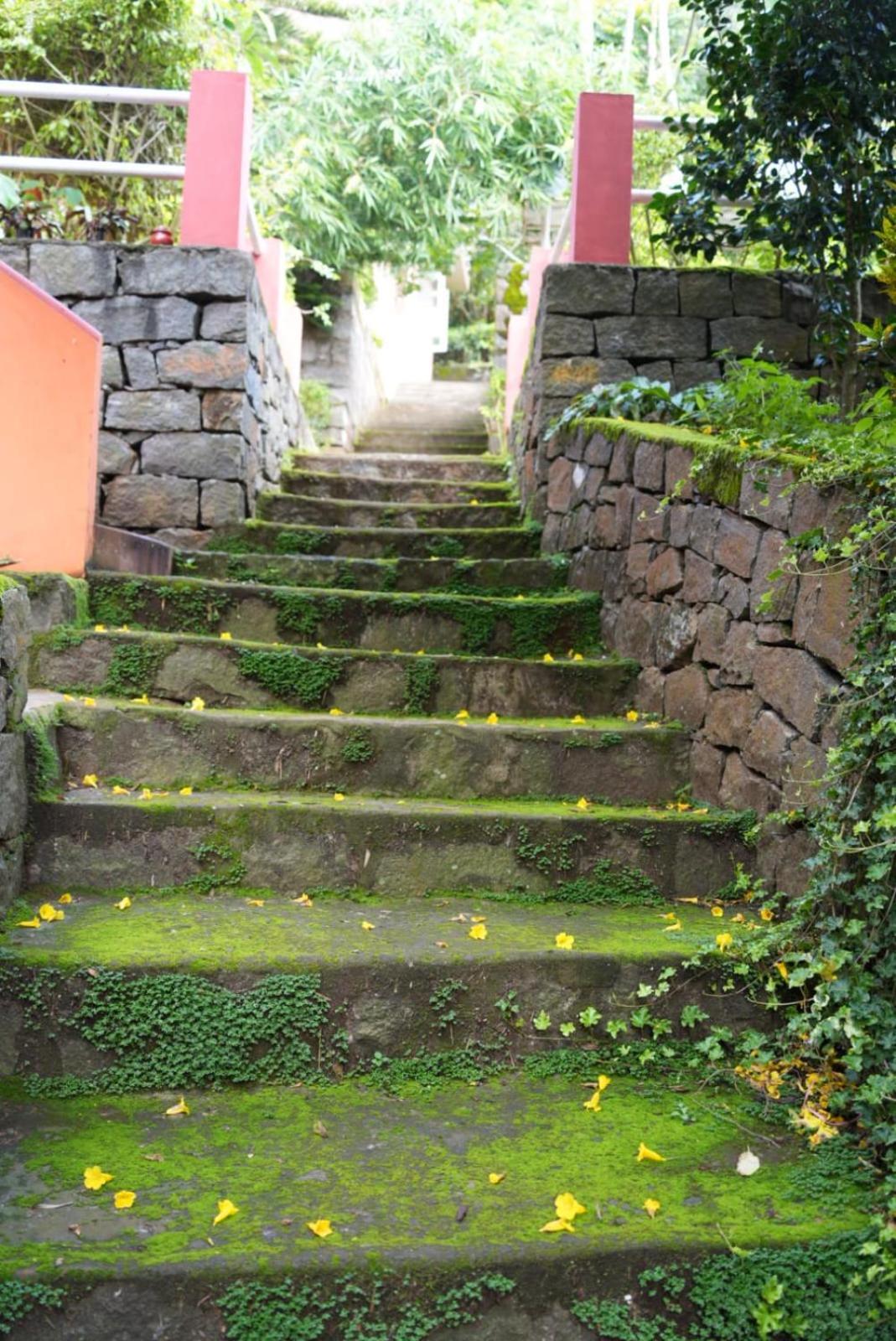 Ghar Homestay, كوتاغيري المظهر الخارجي الصورة